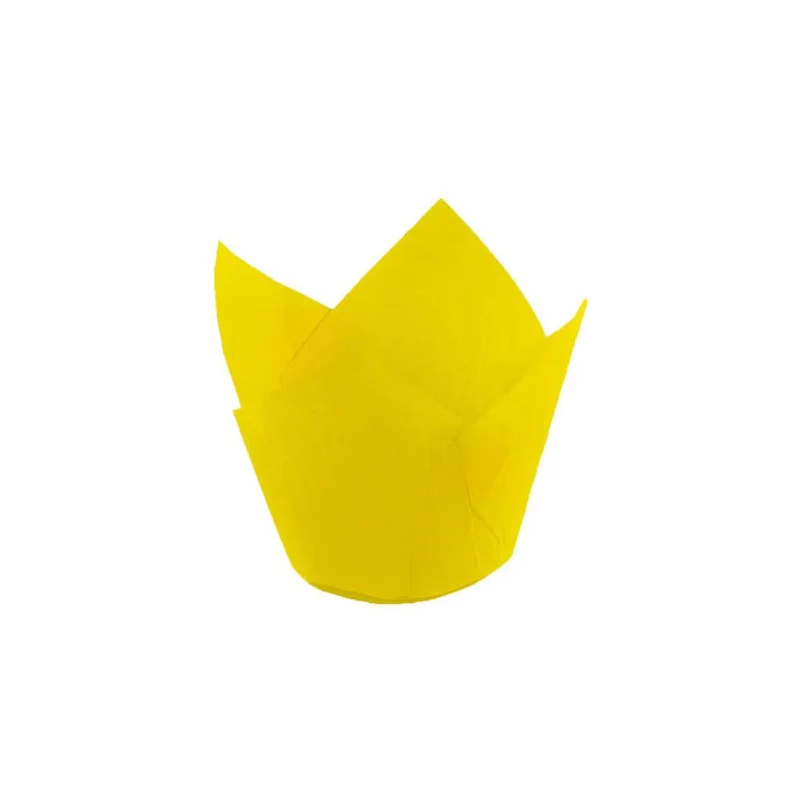 aoxmmlucdca
