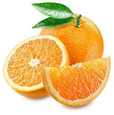 yzlzjktigg3